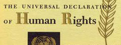 Human Rights Human Rights